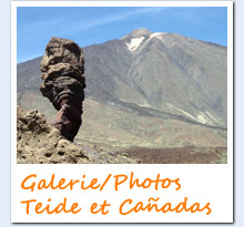 Galerie: Teide / Canadas