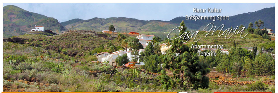 Ferienhaus Appartement Teneriffa Urlaub Service Casa Maria